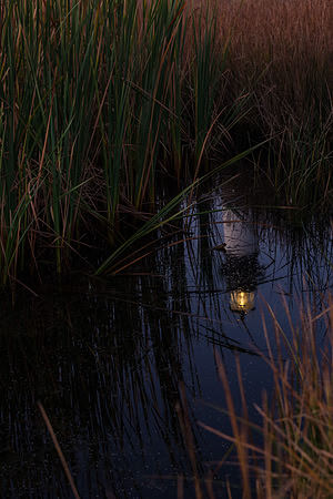Sol-to-Soul PhotographySol-to-SoulPhotographyDSC_5025