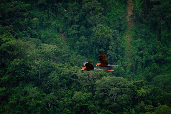 NicoleRichmanCostaRica-_DSF9376