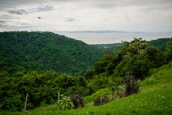 NicoleRichmanCostaRica-_DSF9378
