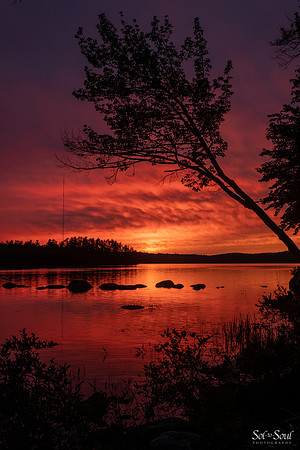 Sol-to-SoulPhotography_DSF2502