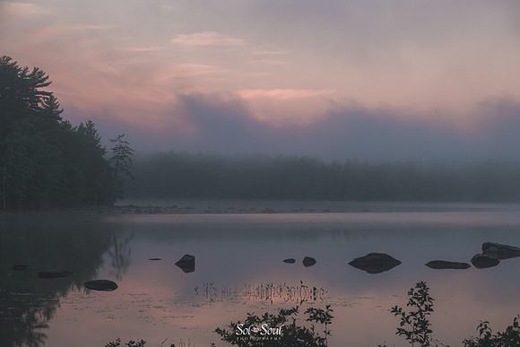 Sol-to-SoulPhotographySol-to-SoulPhotography_DSF2473