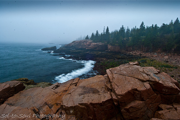 NicoleRichman-Acadia-DSC_0051-3